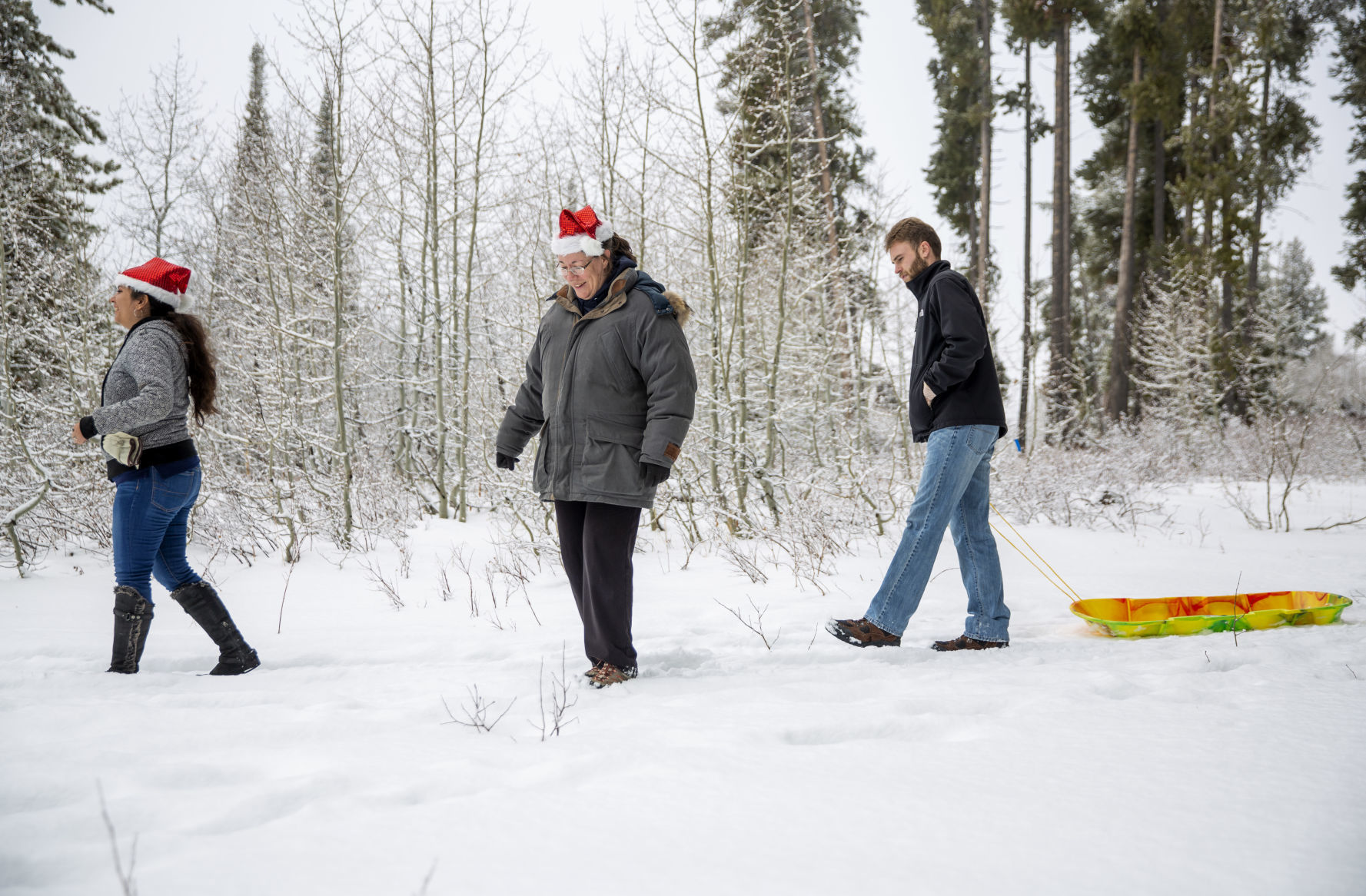 Picking the perfect tree